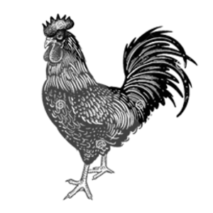 मंगोल नेशनल अर्गनाइजेसन